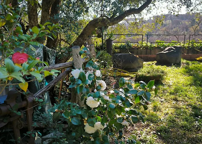 Cassia, Luminoso Open Space Nel , Casa Dei Leoni Appartamento Roma